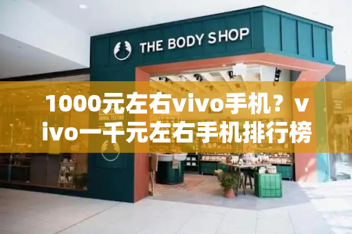 1000元左右vivo手机？vivo一千元左右手机排行榜-第1张图片-星选测评