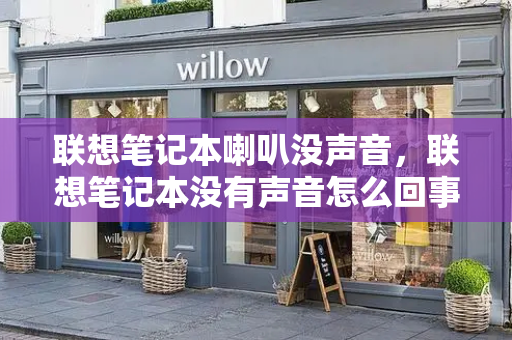 联想笔记本喇叭没声音，联想笔记本没有声音怎么回事-第1张图片-星选测评