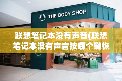 联想笔记本没有声音(联想笔记本没有声音按哪个键恢复)-第1张图片-星选测评