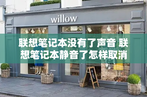 联想笔记本没有了声音 联想笔记本静音了怎样取消