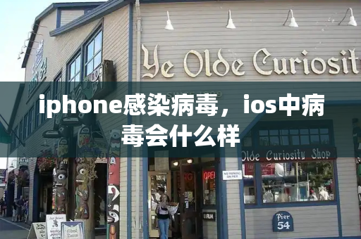 iphone感染病毒，ios中病毒会什么样