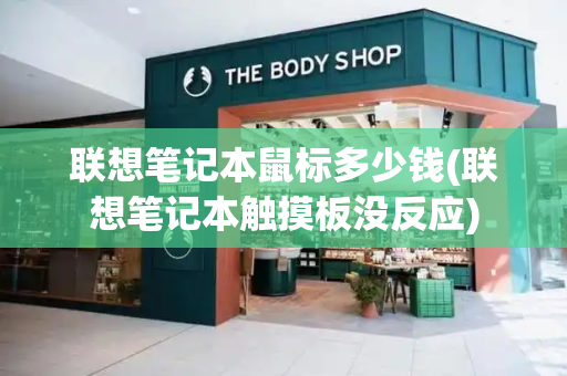 联想笔记本鼠标多少钱(联想笔记本触摸板没反应)-第1张图片-星选测评