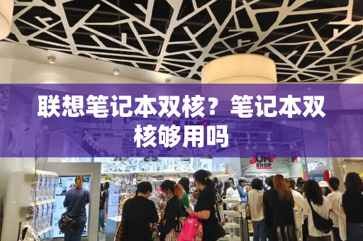 联想笔记本双核？笔记本双核够用吗