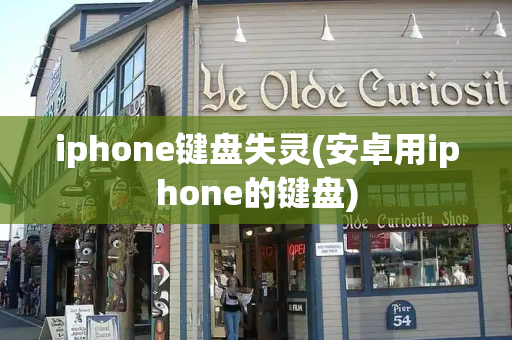 iphone键盘失灵(安卓用iphone的键盘)-第1张图片-星选测评
