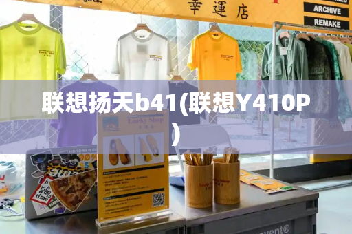 联想扬天b41(联想Y410P)-第1张图片-星选测评