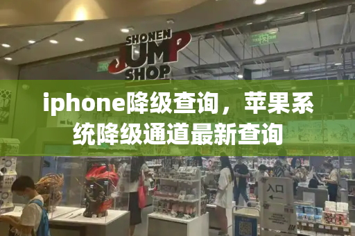 iphone降级查询，苹果系统降级通道最新查询-第1张图片-星选测评