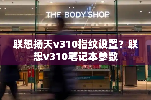 联想扬天v310指纹设置？联想v310笔记本参数-第1张图片-星选测评