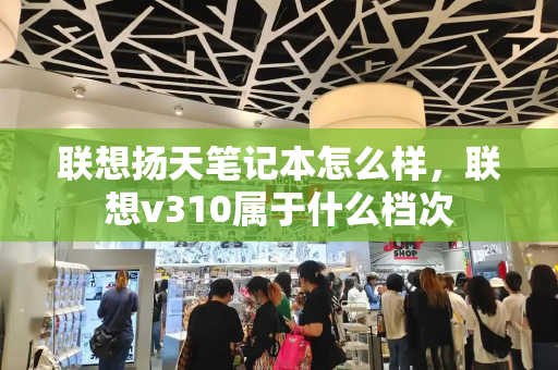 联想扬天笔记本怎么样，联想v310属于什么档次