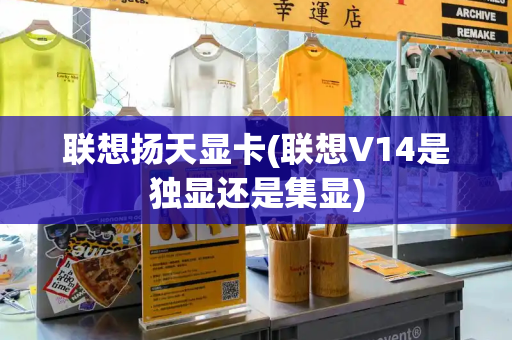 联想扬天显卡(联想V14是独显还是集显)