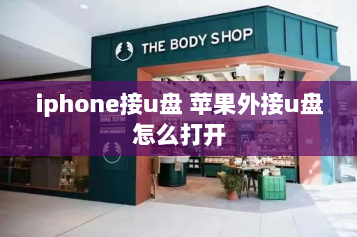 iphone接u盘 苹果外接u盘怎么打开-第1张图片-星选测评