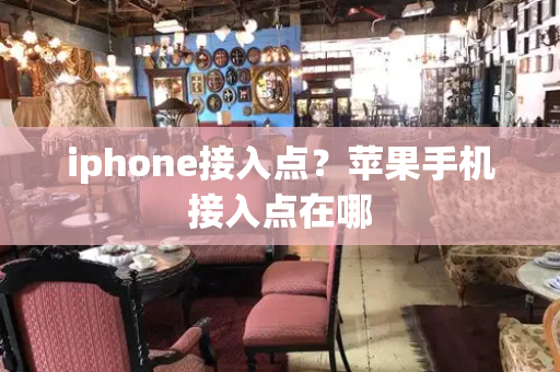 iphone接入点？苹果手机接入点在哪-第1张图片-星选测评