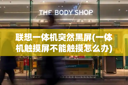 联想一体机突然黑屏(一体机触摸屏不能触摸怎么办)-第1张图片-星选测评