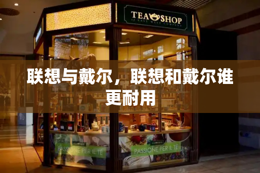 联想与戴尔，联想和戴尔谁更耐用-第1张图片-星选测评