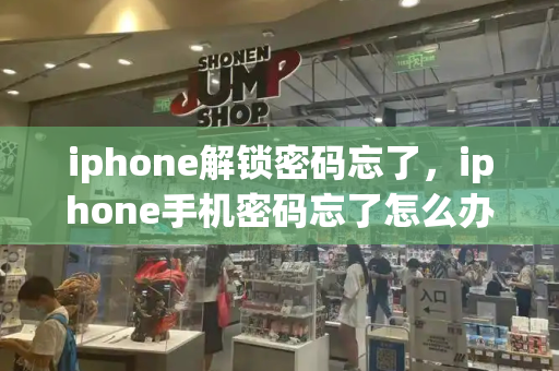 iphone解锁密码忘了，iphone手机密码忘了怎么办-第1张图片-星选测评