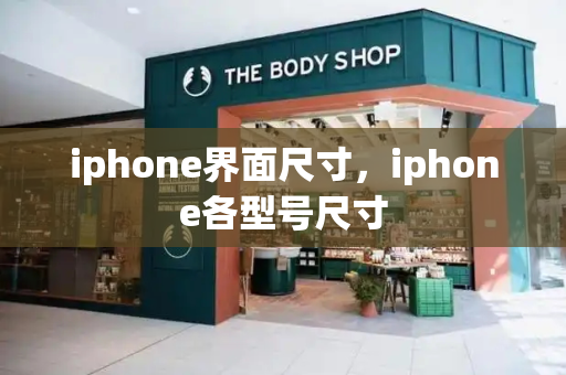 iphone界面尺寸，iphone各型号尺寸-第1张图片-星选测评