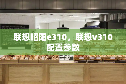 联想昭阳e310，联想v310配置参数-第1张图片-星选测评