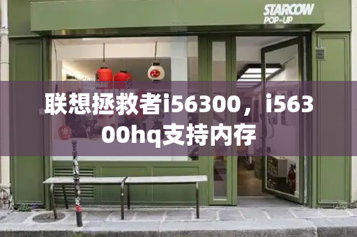 联想拯救者i56300，i56300hq支持内存