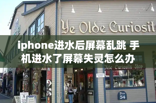 iphone进水后屏幕乱跳 手机进水了屏幕失灵怎么办-第1张图片-星选测评