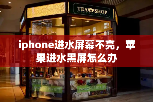iphone进水屏幕不亮，苹果进水黑屏怎么办-第1张图片-星选测评