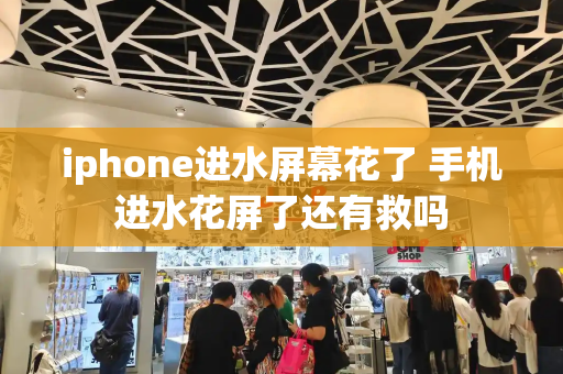 iphone进水屏幕花了 手机进水花屏了还有救吗