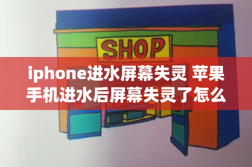 iphone进水屏幕失灵 苹果手机进水后屏幕失灵了怎么办