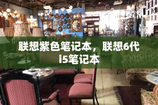 联想紫色笔记本，联想6代i5笔记本-第1张图片-星选测评