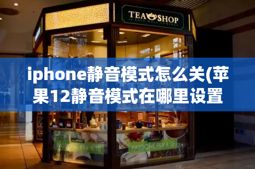 iphone静音模式怎么关(苹果12静音模式在哪里设置)-第1张图片-星选测评