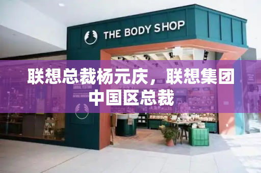 联想总裁杨元庆，联想集团中国区总裁