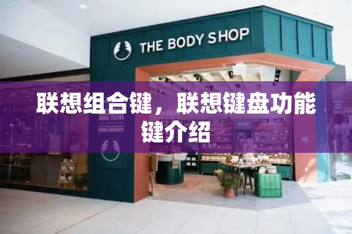 联想组合键，联想键盘功能键介绍-第1张图片-星选测评