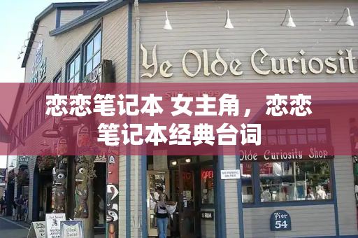 恋恋笔记本 女主角，恋恋笔记本经典台词