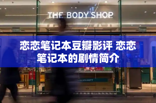 恋恋笔记本豆瓣影评 恋恋笔记本的剧情简介