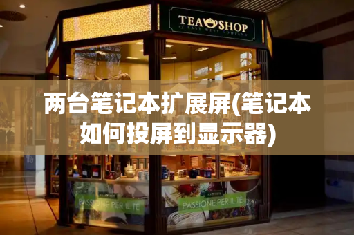 两台笔记本扩展屏(笔记本如何投屏到显示器)