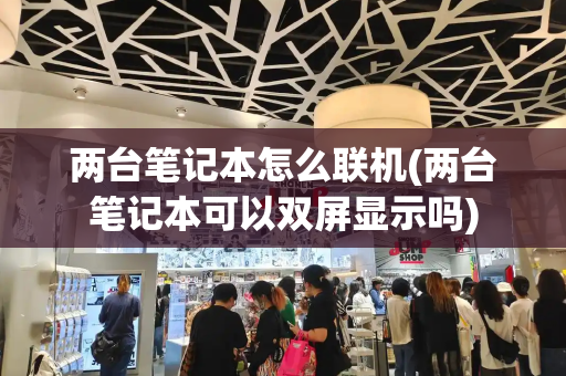 两台笔记本怎么联机(两台笔记本可以双屏显示吗)