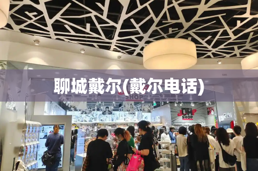 聊城戴尔(戴尔电话)