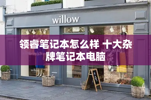 领睿笔记本怎么样 十大杂牌笔记本电脑