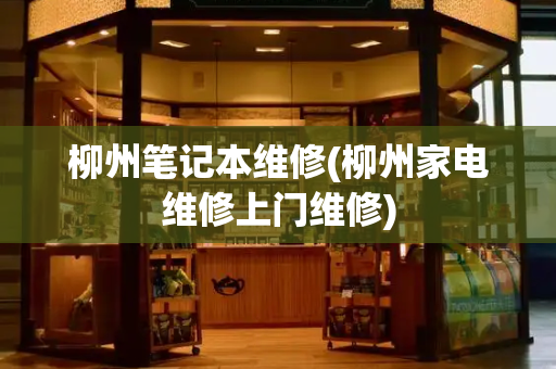 柳州笔记本维修(柳州家电维修上门维修)-第1张图片-星选测评