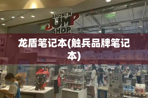 龙盾笔记本(触兵品牌笔记本)