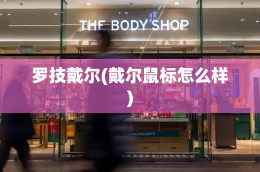 罗技戴尔(戴尔鼠标怎么样)-第1张图片-星选测评