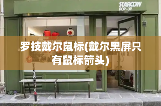罗技戴尔鼠标(戴尔黑屏只有鼠标箭头)