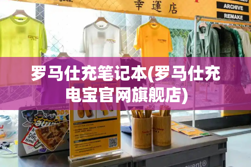 罗马仕充笔记本(罗马仕充电宝官网旗舰店)