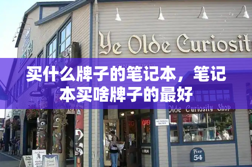 买什么牌子的笔记本，笔记本买啥牌子的最好-第1张图片-星选测评