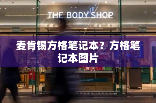麦肯锡方格笔记本？方格笔记本图片-第1张图片-星选测评