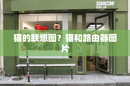 猫的联想图？猫和路由器图片-第1张图片-星选测评