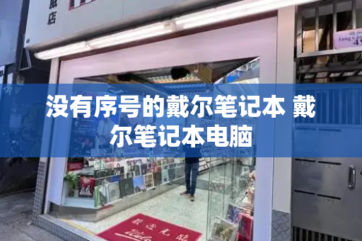 没有序号的戴尔笔记本 戴尔笔记本电脑-第1张图片-星选测评