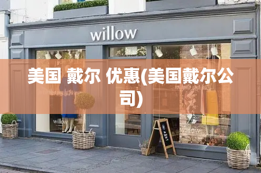 美国 戴尔 优惠(美国戴尔公司)-第1张图片-星选测评