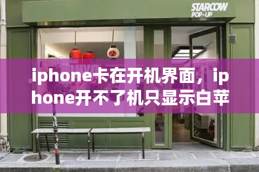iphone卡在开机界面，iphone开不了机只显示白苹果-第1张图片-星选测评