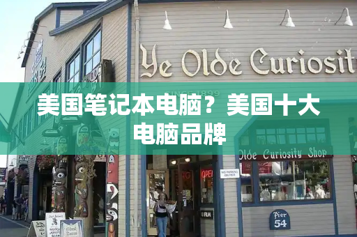美国笔记本电脑？美国十大电脑品牌-第1张图片-星选测评