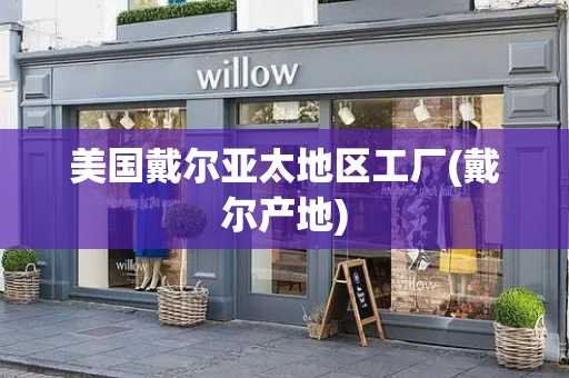 美国戴尔亚太地区工厂(戴尔产地)-第1张图片-星选测评