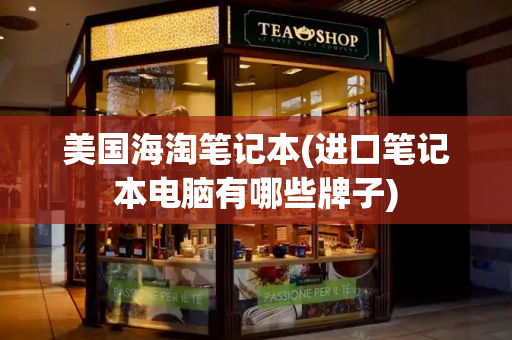 美国海淘笔记本(进口笔记本电脑有哪些牌子)-第1张图片-星选测评