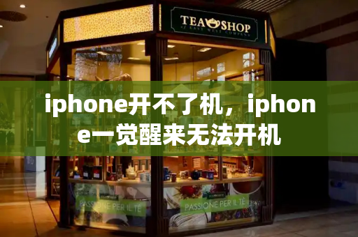 iphone开不了机，iphone一觉醒来无法开机-第1张图片-星选测评